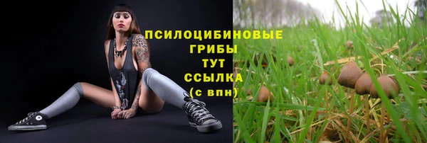 героин Алзамай