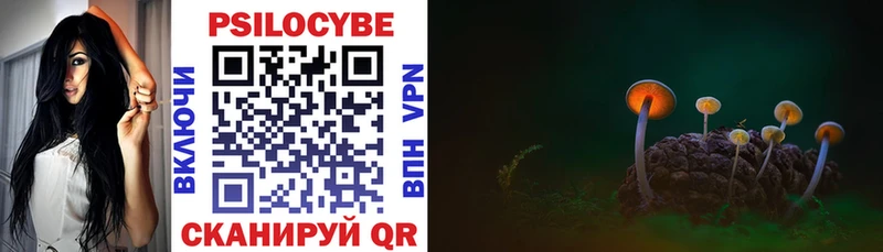blacksprut ссылка Железногорск shop официальный сайт Галлюциногенные грибы Cubensis